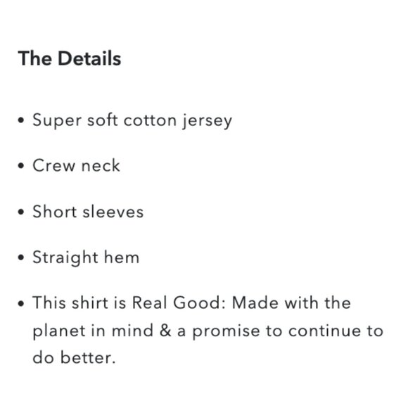 AMERICAN EAGLE OUTFITTERS - MENS Logo Lived-In T-Shirt - Navy - Picture 8 of 13